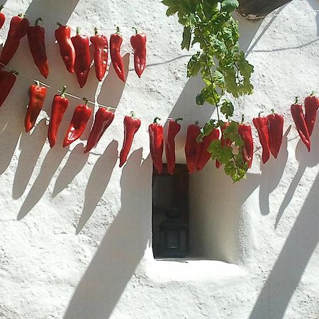 Hotel Rural Cortijo La Alberca Nijar Ngoại thất bức ảnh