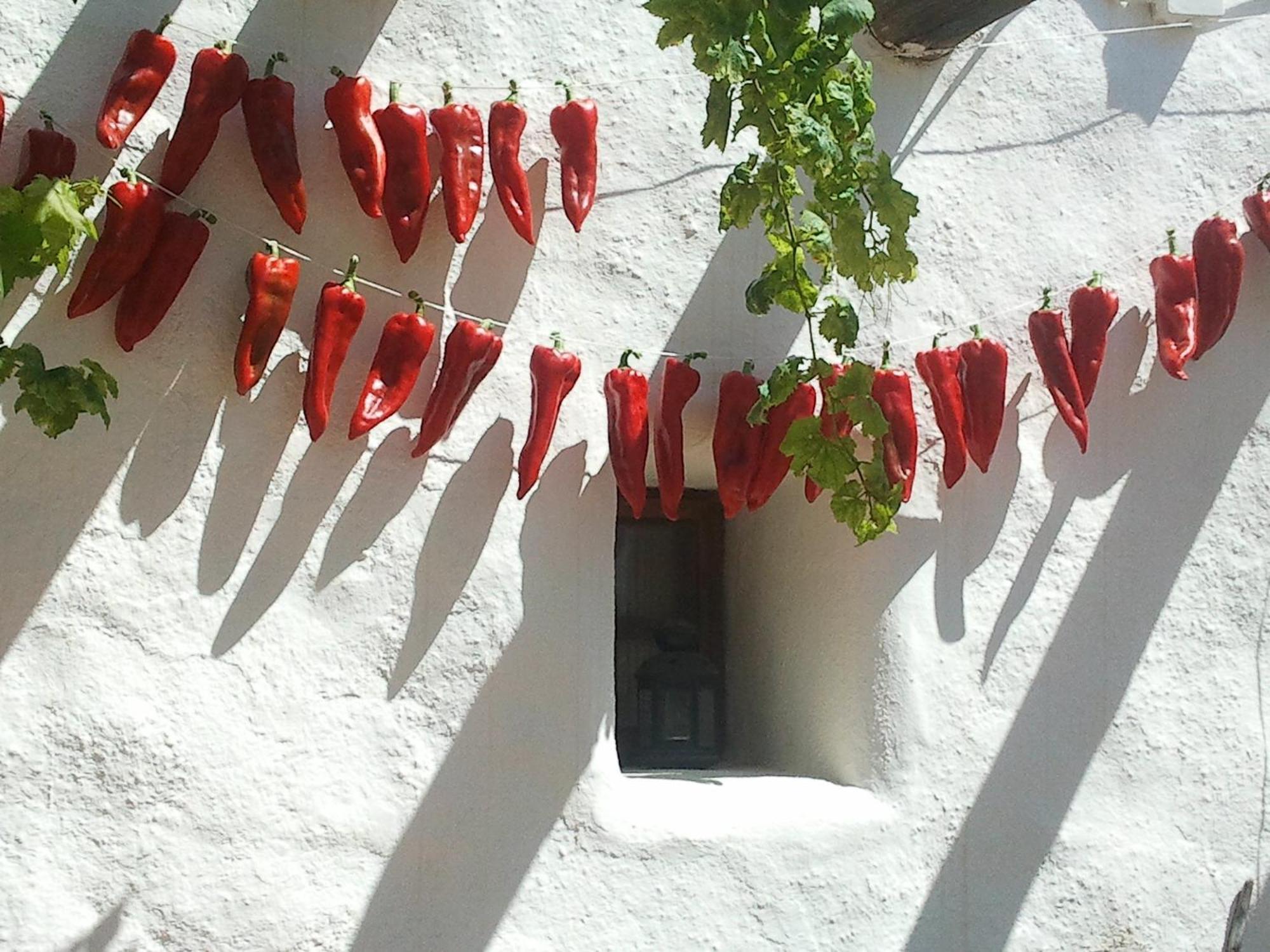 Hotel Rural Cortijo La Alberca Nijar Ngoại thất bức ảnh