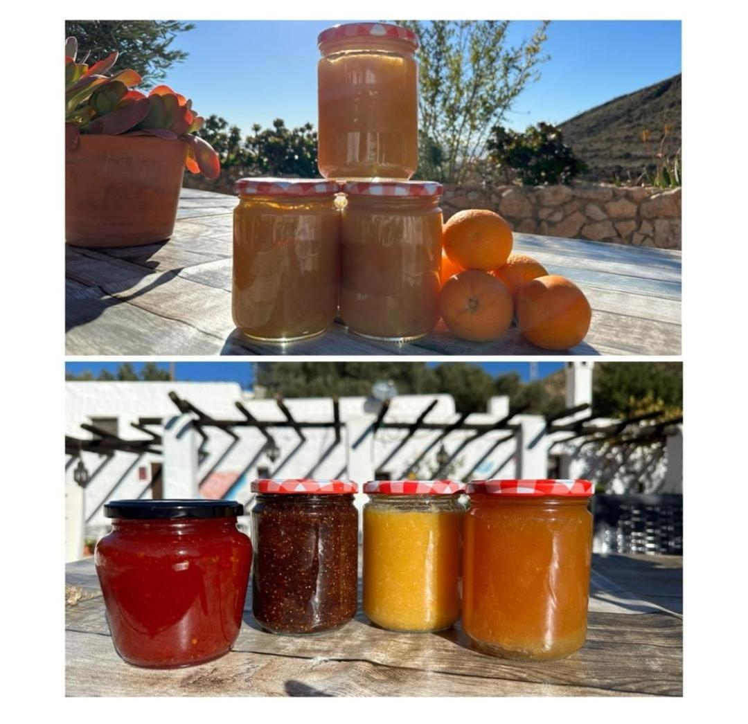 Hotel Rural Cortijo La Alberca Nijar Ngoại thất bức ảnh