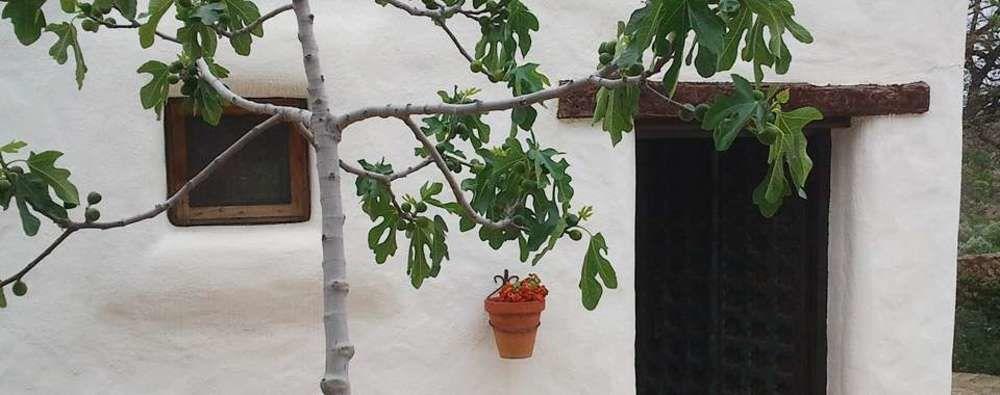 Hotel Rural Cortijo La Alberca Nijar Ngoại thất bức ảnh