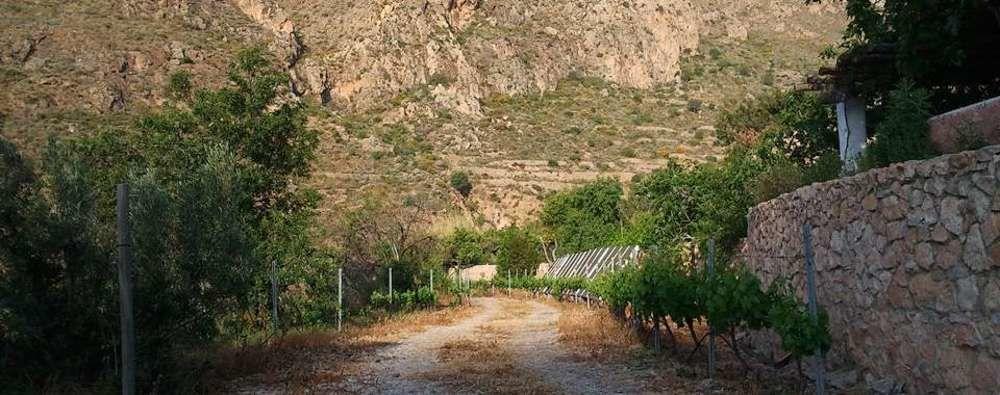 Hotel Rural Cortijo La Alberca Nijar Ngoại thất bức ảnh