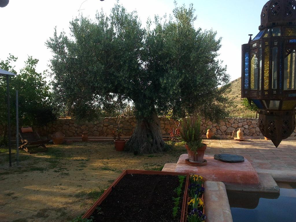 Hotel Rural Cortijo La Alberca Nijar Ngoại thất bức ảnh