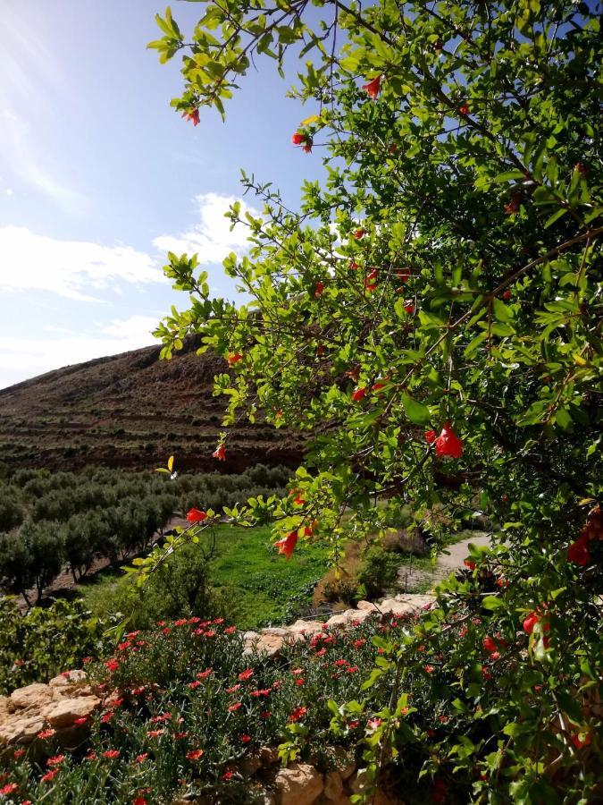 Hotel Rural Cortijo La Alberca Nijar Ngoại thất bức ảnh