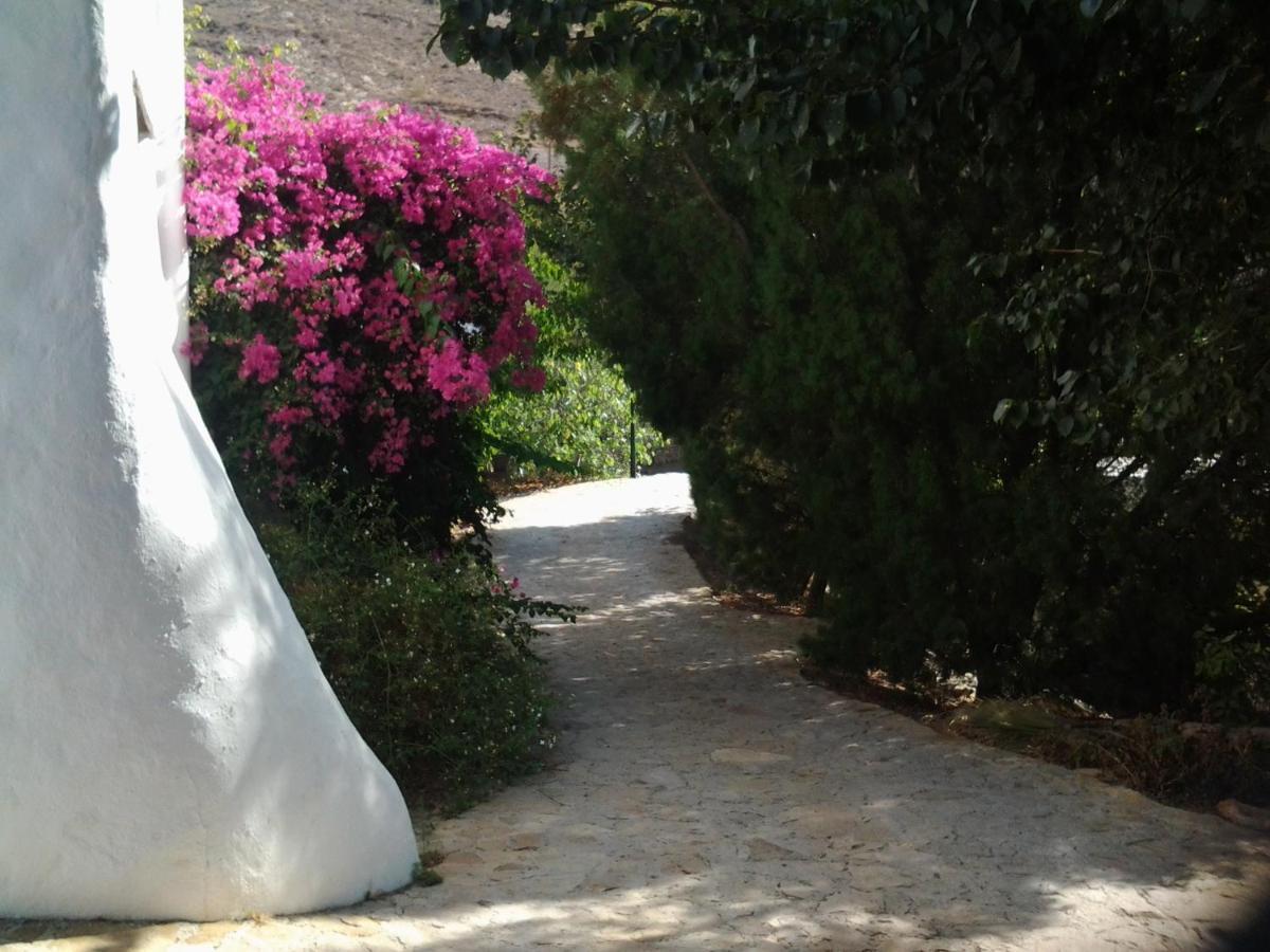 Hotel Rural Cortijo La Alberca Nijar Ngoại thất bức ảnh